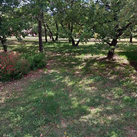 Domaine De La Cheneraie * Mirabel (Ardeche)